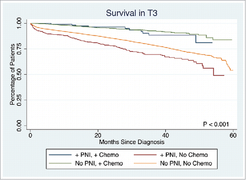 Figure 2. Survival in Stage T3 disease.
