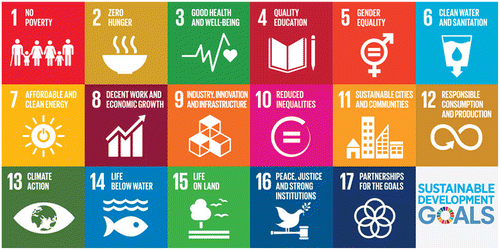 Figure 1. United Nations Sustainable Development Goals (Citation2016).
