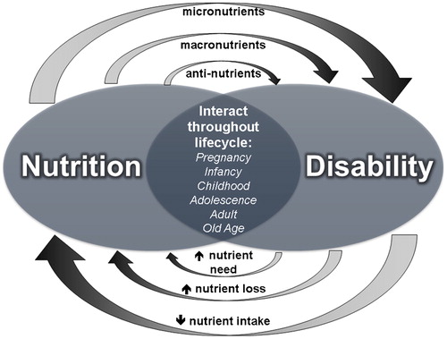 Figure 1. A conceptual framework of how malnutrition and disability relate and interact (adapted from Kerac et al., 2014Citation1)