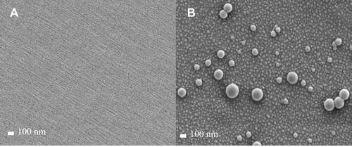 Figure 10 FE-SEM images of the PB-M surface (A), and 120 min after starting LON permeation (B).