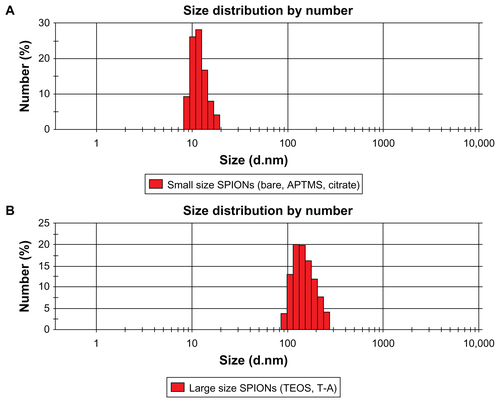 Figure S1 Size distributions of relatively small SPIONs (ie, bare and APTMS- or citrate-coated) (A) and large SPIONs (ie, TEOS- or T-A-coated) (B) in aqueous solution.Note: The Zetasizer histograms shown in this figure are representative of five independent experiments with almost similar results.Abbreviations: APTMS, (3-aminopropyl)trimethoxysilane; DMSO, dimethyl sulfoxide; SPION, superparamagnetic iron oxide nanoparticles; T-A, TEOS-APTMS; TEOS, tetraethyl orthosilicate.