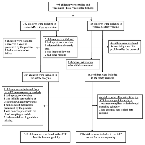 Figure 1. Study profile. MMRVnew WS: measles-mumps-rubella-varicella vaccine derived from newly established working seed virus stock. MMRV, combined measles-mumps-rubella-varicella vaccine derived from current working seed virus stock; ATP, according-to-protocol.