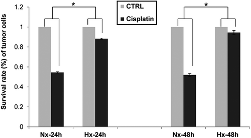 Figure 1. Decreased cisplatin-sensitivity of McA-RH7777 cells under hypoxia. Rat hepatoma cell line McA-RH7777 was cultured in either normoxic (Nx) or hypoxic (Hx) condition (1%) in the presence of cisplatin for 24 h or 48 h. Cell survival was then assessed by MTT assay. *p < 0.05.