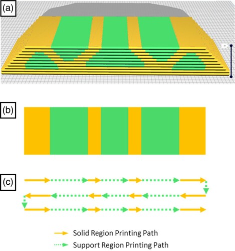 Figure 13. (a) The slicing preview of the 10th layers. (b) The top view of the 10th layer showing the solid and support regions (c) The longitudinal printing path for the 10th layer generated from extracted boundary coordinates with slowed down nozzle travel speed for some of the sections.