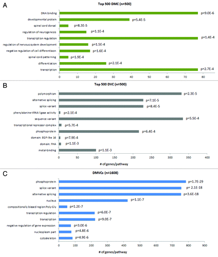 Figure 5. Gene ontology enrichment analysis of DMCs, DVCs and DMVCs. Gene ontology analysis was performed using DAVID (http://david.abcc.ncifcrf.gov). The human genome was used as background. The top 500 DMCs (A), the top 500 DVCs (B) and all DMVCs (n = 1608) (C) were selected for analysis. The top ten enriched pathways are listed here together with their enrichment P-values, which are derived from a modified Fisher’s exact test.