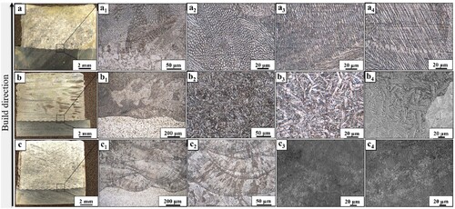 Figure 3. (a) Stereoscope image of the monolithic SS316L, (a1) High magnification optical image showing the interface between the substrate and the printed SS316L without any defect and unmelted powders, (a2, a3) cellular and cellular dendritic microstructure present in the SS316L print, (a4) dendritic microstructure of SS316L, (b) Stereoscope image of the monolithic 17–4 PH, (b1), Low magnification optical image showing the interface between the substrate and the printed 17–4 PH without any defect and unmelted powders, (b2, b3, b4) low and high magnification optical and SEM image of the microstructure of 17–4 PH, (c) Stereoscope image of the printed 1:1 premixed sample, (c1) Low magnification optical image showing the interface between the substrate and the printed 1:1 premixed sample without any defect and unmelted powders, (c2) High magnification image of the hemispherical patterns from the laser deposition, (c3) SEM image of the 1:1 premixed sample showing dendritic microstructure and lathy martensite present within same layer, (c4) SEM image showing δ – ferrite of the 1:1 specimen.