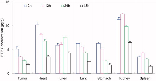 Figure 6. Tissue distribution results of ETP in ETP + CUR solution. ETP: etoposide; CUR: curcumin; ETP + CUR solution: etoposide and curcumin mixed solution.