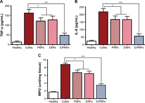 Figure 8 Proinflammatory cytokine levels and MPO activity in the healthy control group, colitis control group, and CSA-loaded nanoparticle-treated groups. (A) TNF-α; (B) IL-6; and (C) MPO activity assay. Statistical comparisons were evaluated between the colitis control group and CSA-loaded NP groups (*p<0.05, ***p<0.001).Abbreviations: TNF-α, tumor necrosis factor-alpha; MPO, myeloperoxidase; CSA, cyclosporine A; PNPs, poly(lactic-co-glycolic acid) (PLGA) nanoparticles; ENPs, Eudragit FS30D nanoparticles; E/PNPs, Eudragit FS30D/PLGA nanoparticles.