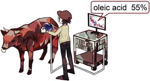 Figure 1. Schematic illustration of nondestructive, noninvasive quantification of fatty acids in live cattle using unilateral magnetic resonance surface scanner with hand-held sensor unit.[Citation11]