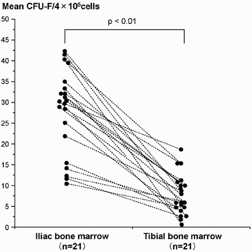 Figure 2. Graph showing a comparison of the mean number of fibroblast colony-forming units (CFU-F) per 4 × 105 bone marrow mononuclear cells in iliac and tibial marrow from each patient. Each point shows the mean number of CFU-F for triplicate assays. Data from individual patients are connected by broken lines.