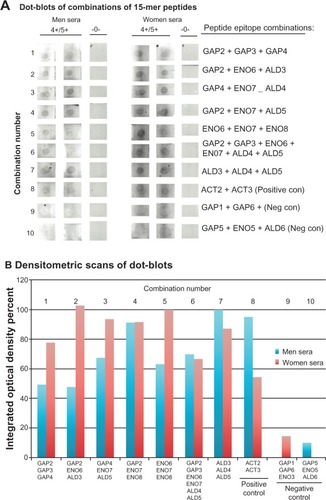 Figure 4 Representative experiments in duplicate dot blots of combinations of 15-mer peptide epitopes (A) and densitometric scans of reactive dot blots (B).