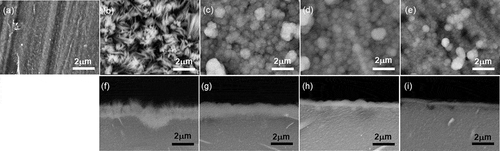 Figure 3. (a)–(e) Surface and (f)–(i) cross-sectional SEM images of W43 specimens (a) uncoated and those treated with NaHCO3 concentrations of (b, f) 0 mol/L (HAp), (c, g) 0.4 mol/L (CAp0.4M), (d, h) 1.1 mol/L (CAp1.1M) and (e, i) 1.9 mol/L (CAp1.9M).