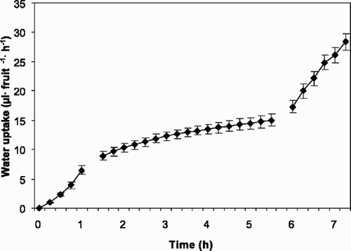 Fig. 6 Accumulated water uptake through the pedicel of fruits of sweet cherry ‘Sunburst’ (1997) in air and interrupted by fruit immersion in water for 4 h. The first break in line is when the fruits were immersed in water, while the second break is when the fruits were dried. Vertical bars represents standard error of the means (SE) and each point represents 9 fruits. Regression describing the data are: y=−0.53+6.55x, r 2=0.780; y=0.82+1.43x, r 2=0.553 and y=0.11+9.64x, r 2=0.792 before, during and after immersion, respectively.