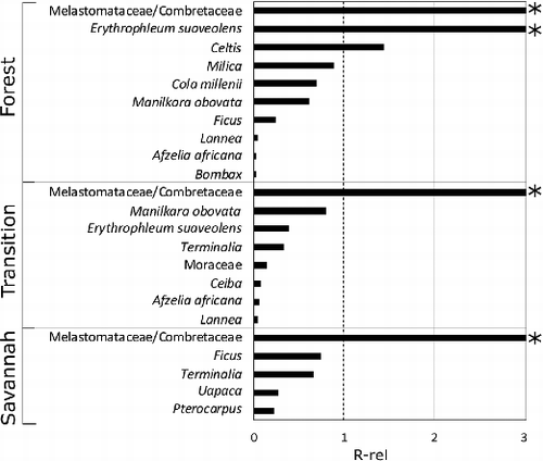 Figure 6. Bar chart showing R-rel values of taxa represented in both pollen and vegetation, where p = average % abundance of a taxon and v = total basal area of taxon in the vegetation. Asterisks indicate that the R-rel values were too high to show on the figure; Forest Melastomataceae/Combretaceae R-rel = 6.37 and Erythrophleum suaveolens R-rel = 3.64. Transition Melastomataceae/Combretaceae R-rel = 5.18, and Savannah Melastomataceae/Combretaceae R-rel = 3.53.