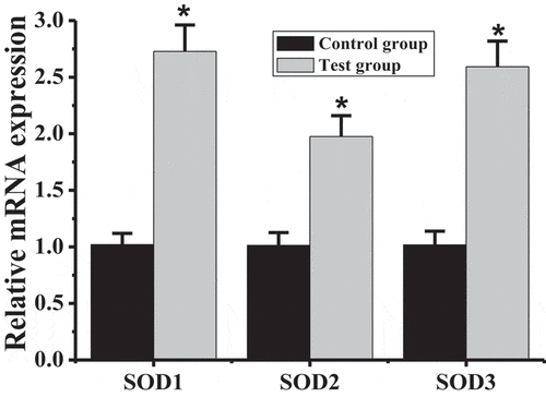 Figure 6. Comparison of SODs mRNA levels between test group and control group