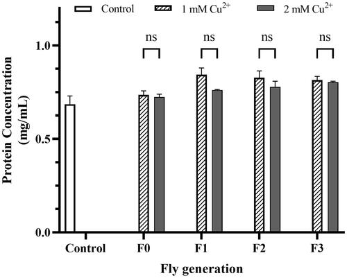 Figure 3. Protein concentration of the treatments. The flies were prepared by homogenized protein concentration in the different concentrations of CuSO4 (1 mM and 2 mM). The control was described in the legend of Figure 1. Bradford’s method using BSA as the standard was applied to estimate the treatments. The values are introduced as the average ± amount of variation of triplicate experiments, and the difference was measured using the t–test and 2-way ANOVA.