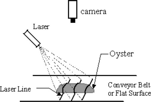 Figure A1. Optical System Design