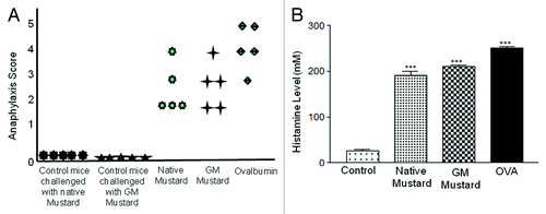 Figure 4. Anaphylaxis score and histamine level: Mice challenged on day 60. Anaphylaxis score and histamine levels were measured after 30 min (A) Anaphylaxis score in control, native mustard, GM mustard, Ovalbumin. (B) Histamine level in native mustard, GM mustard and OVA. Results are expressed as mean ± SEM from three separate experiments (***p < 0.001) when compared with control.