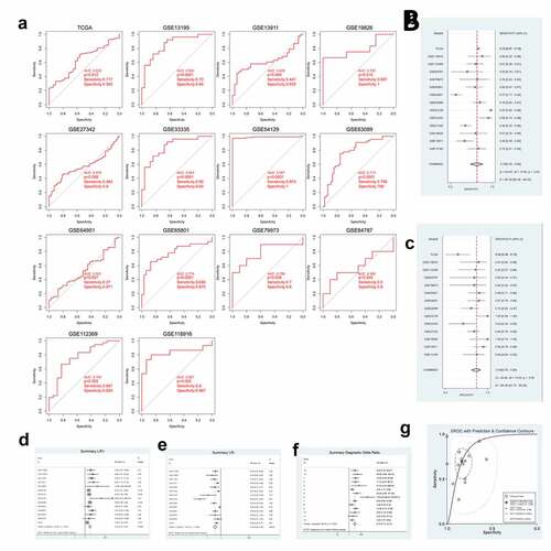 Figure 2. GXYLT2 could be used as a diagnostic marker for patients with gastric cancer based on the results of analysis of the diagnostic values