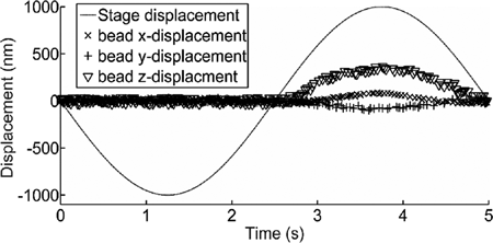 Figure 3. Displacement of the stage (cell) and of the microbead in the trap during the experiment. The sinusoidal movement of the stage make the microbead displacements: in x, y and z. In the first half of the period, the cell moves down and hence the microbead moves freely in the trap. At the beginning of the second half of the period, when the cell intercepts the microbead and pushes it up, the displacement of the bead in z begins to be significant and it is accompanied by smaller lateral displacements in x and y.