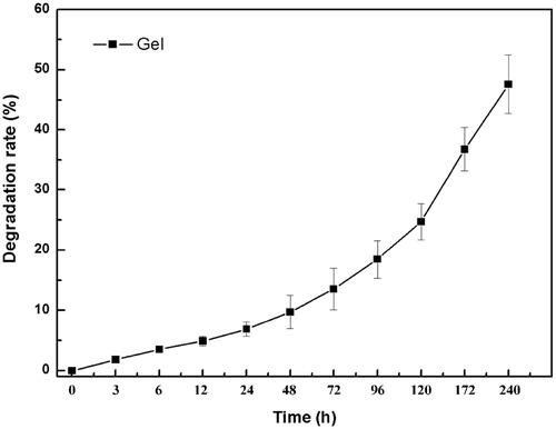 Figure 4. In vitro degradation rate tests of genipin crosslinked hydrogel (n = 6).