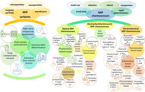 Scheme 1. Outline of MIPs applications in the food industry and food quality control protocols.