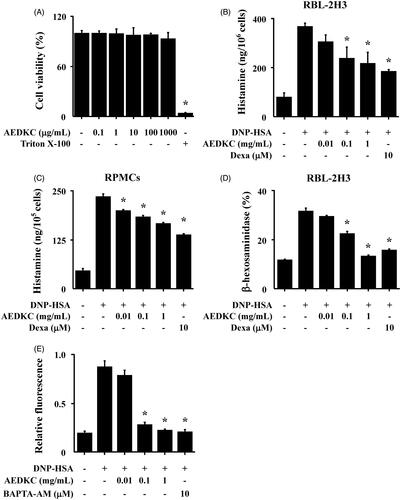 Figure 3. Effects of AEDKC on intracellular calcium and mast cell degranulation. (A) RBL-2H3 cells (6 × 104/well) were pretreated with or without AEDKC for 12 h and then incubated with 1 mg/mL MTT for 2 h. The absorbance intensity was measured using a spectrophotometer. (B,C) RBL-2H3 cells (5 × 105/well) and RPMCs (2 × 104/well) were sensitized with anti-DNP IgE (50 ng/mL). After overnight incubation, the cells were pretreated with or without drugs, including AEDKC and Dexa, for 1 h, and then challenged with DNP-HSA (100 ng/mL). (D) The level of β-hexosaminidase was measured using β-hexosaminidase substrate buffer. RBL-2H3 cells (6 × 104/well) were sensitized with anti-DNP IgE. (E) After overnight anti-DNP IgE incubation, cells were incubated with Fluo-3/AM for 1 h, treated with or without AEDKC for 1 h, and then challenged with DNP-HSA. Intracellular calcium was detected using a fluorescent plate reader. BAPTA-AM, a calcium chelator, was used as the positive control. Graph data represent the mean ± SD of three independent experiments. *p < 0.05 compared with the DNP-HSA-challenged group. Dexa: dexamethasone.