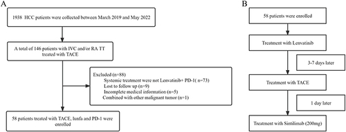 Figure 1 (A): Flowchart of the patient cohort. (B): The schema of the combination therapy.