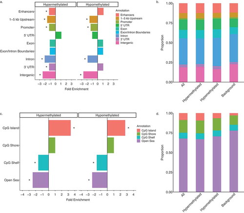 Figure 4. Genomic annotations of DS-DMRs relative to background regions. (a) Enrichment of DS-DMRs in genic annotations. (b) Proportion of DS-DMRs in genic annotations. (c) Enrichment of DS-DMRs in CpG annotations. (d) Proportion of DS-DMRs in CpG annotations. * = q < 0.05 and all the category represents the combination of hypermethylated and hypomethylated DMRs.