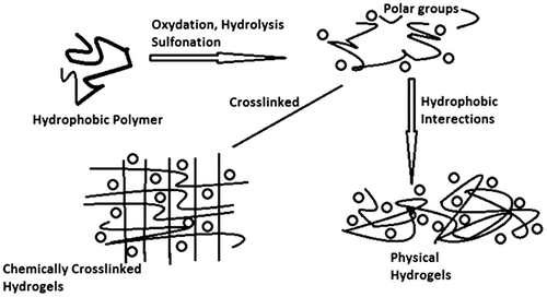 Figure 2. Represents methods for the preparation of hydrogels by chemical modification of hydrophobic polymers.