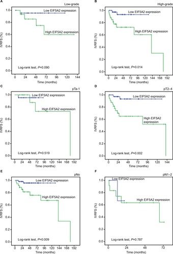 Figure 4 Kaplan–Meier survival analysis of EIF5A2 expression in subsets of different grades, pT and pN patients with UTUC (log-rank test).Notes: (A) Low-grade, probability of IVRFS of low-grade patients with UTUC: low expression (blue line), n=23; high expression (green line), n=15. (B) High-grade, probability of IVRFS of high-grade patients with UTUC: low expression (blue line), n=38; high expression (green line), n=33. (C) pTa-1, probability of IVRFS of pTa-1 patients with UTUC: low expression (blue line), n=22; high expression (green line), n=15. (D) pT2–4, probability of IVRFS of pT2–4 patients with UTUC: low expression (blue line), n=39; high expression (green line), n=33. (E) pN0, probability of IVRFS of pN0 patients with UTUC: low expression (blue line), n=57; high expression (green line), n=36. (F) pN1–2, probability of IVRFS of pN1–2 patients with UTUC: low expression (blue line), n=4; high expression (green line), n=12.Abbreviations: IVRFS, intravesical recurrence-free survival; UTUC, upper tract urothelial carcinoma.