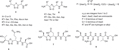 Figure 4. Peptidomimetic inhibitors of the PD-1/PD-L1 interaction with oxa- and thiadiazole core moieties.