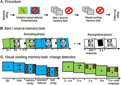 Figure 1. (A) Schematic illustration of the experimental procedure. Background colours served as verbally instructed or observed threat-of-shock or safety cues in both following memory tasks, which were performed in a randomized order. (B) In the item/source memory task, during the encoding phase, 60 pictures of male and female faces displaying neutral expressions were presented for 6 s each (variable ITI) in front of a coloured background (green or blue source) that alternated in blocks of 10 faces, each block started with a coloured frame for 3 s. Participants’ task was to memorize the faces, without a mentioning of the colours. During the recognition phase, the 60 old and 30 new faces were presented intermixed without background colours. Participants’ task was to decide whether the face was shown before and with which colour (combined old/new item and source recognition task), or whether it was not previously presented. (C) For the visual working memory task (change detection), a cue indicated the spatial location to pay attention to. In a following memory array either four or two faces were presented for 200ms. After a 900ms retention interval, participants had to decide whether a face on the arrow indicated side had changed identity or not in the test array.
