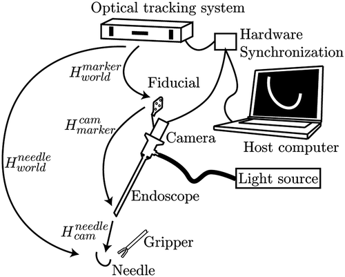 Figure 9. Spatial transformations involved in hybrid tracking.