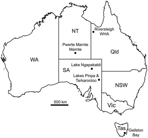 Figure 1. Map of Australia depicting the locations of late Oligocene and early Miocene fossil sites from which vombatoids have been recovered. Abbreviations: NSW, New South Wales; NT, Northern Territory; Qld, Queensland; SA, South Australia; Tas, Tasmania; Vic, Victoria; WA, Western Australia; WHA, World Heritage Area.