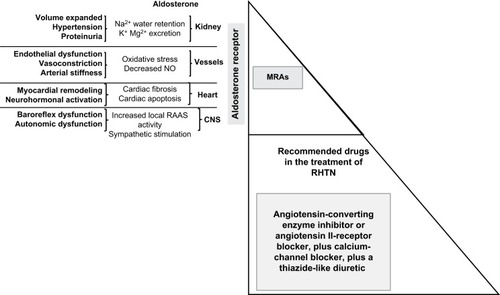Figure 2 Fourth-line antihypertensive agents in patients with RHTN.