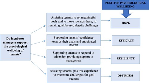 Figure 1. Conceptual model for the research: The role of incubator managers in supporting tenants’ positive psychological wellbeing through the constructs of hope, efficacy, resilience, and optimism.