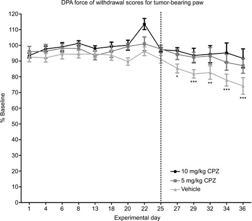 Figure 5 Dynamic Plantar Aesthesiometer (DPA) measurements of force required for withdrawal of the injected limb compared to the baseline results in capsazepine (CPZ)-treated and non-treated mice (100% on the y-axis is therefore equivalent to the animal’s behavior pre-tumor implantation surgery). A significant decrease in the force required to induce paw withdrawal relative to baseline is only seen in the vehicle-treated group beginning on day 27 as indicated by the asterisks. Both the 5 and 10 mg/kg CPZ-treated groups do not show any significant deviation from baseline measurements. A one-way analysis of variance (ANOVA) with a Dunnett post-test was used to show significant differences between time points relative to the baseline control. Paw withdrawal thresholds are increased in CPZ-treated mice increase in force required for paw withdrawal in the CPZ-treated mice relative to vehicle-treated mice (10 mg/kg) n=10; (5 mg/kg) n=11; (vehicle) n=13. One-way repeated measures ANOVA was used on the measurements past day 25 (marked by dotted line) showing significant differences between groups (P<0.0001). While both doses were significantly different from vehicle mice (P<0.05), differences between doses were not significant. Data are expressed as the mean required force as a percentage of the baseline score ±standard error of mean. *P<0.05; **P<0.01; ***P<0.001.