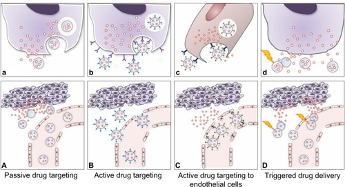 Figure 3 Strategies adopted for drug targeting and localization of nanosystems to tumor cells and tissues.Notes: (A) Passive drug targeting. Circulating nanoparticles passively extravasate in solid tumor tissue via the enhanced permeability of blood vessels, ie, through the disorganized and leaky vasculature surrounding the solid tumor coupled with the absence of lymphatic drainage, and preferentially accumulate in tumor cells (the EPR effect). (a) The drug is released into the extracellular matrix and diffuses through the cells and tissue. (B) Active drug delivery. Once nanoparticles passively extravasate and concentrate in the target tissue via the EPR effect, the presence of ligands grafted onto the nanoparticle surface enable active targeting of the nanoparticles to receptors that are overexpressed on tumor cells or tissue, resulting in enhanced uptake and internalization via receptor-mediated endocytosis. (b) Tumor-specific ligands on the nanoparticles bind to cell surface receptors, triggering internalization of the nanoparticles into the cell through endosomes on which, due to an internal acidic pH, the drug is released from the nanoparticles and diffuses into the cytoplasm. (C) Active drug targeting to endothelial cells. Nanoparticles can be targeted to bind to angiogenic endothelial cell surface receptors with the aims of: enhancing drug accumulation in the tumor endothelium, thereby inhibiting growth of blood vessels supplying the tumor rather than inhibiting tumor cells per se (c); and improving delivery of chemotherapeutic agents to tumor cells via the EPR effect with the potential to act synergistically in targeting both the vascular tissue and tumor cells. (D) Triggered drug delivery by stimuli-sensitive nanomedicines. Nanoparticles passively accumulate in the tumor via the EPR effect. After localization at the target site or while circulating in the tumor vasculature (d), the nanoparticles can be activated by external stimuli (eg, hyperthermia, light, magnetic fields, ultrasound) that induce release of the payload drugs. Images adapted from J Control Release, 161(2), Lammers T, Kiessling F, Hennink we, Storm G, Drug targeting to tumors: principles, pitfalls and (pre-) clinical progress, 175–187, Copyright 2012, with permission from Elsevier.Citation10Abbreviation: EPR, enhanced permeability and retention.