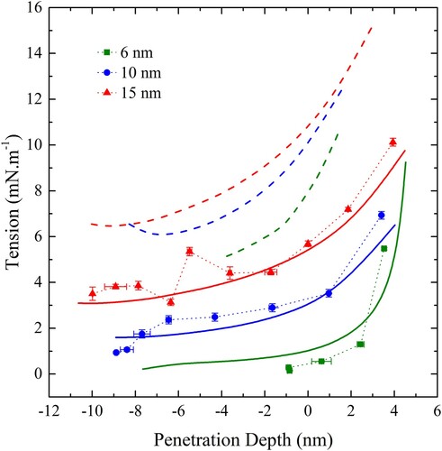 Figure 14. (colour online) Membrane tension as a function of penetration depth for wrapping of spherical particles by a CG bilayer in the disk geometry. Dashed lines show the relation between tension and penetration depth with ws given by Equation (6) and solid lines are fits with ws allowed to vary according to Equation (15). Red lines correspond to a spherical particle 15 nm in diameter, blue 10 nm and green 6 nm.