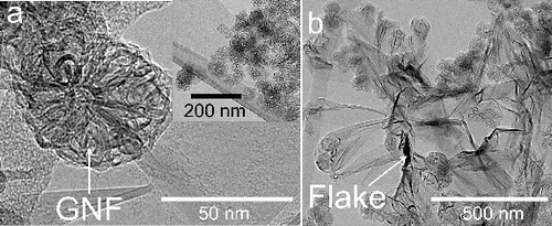 FIG. 1. TEM images of typical graphene nanomaterials. (a) GNF; the inset shows several GNFs on a TEM grid. (b) A MLG flake with some GNFs attached to its surface.
