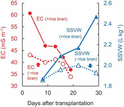 Figure 7. Changes in EC and SSVW with and without the application of rice bran.