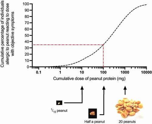 Figure 1. Population-based dose-distribution curve for reaction thresholds derived from 1306 double-blind placebo-controlled food challenges (DBPCFC) to peanut. Red dotted line shows (as an example) ED35, the eliciting dose which will trigger an objective allergic reaction in 35% of peanut-allergic individuals, in this case 100 mg which is approximately a half peanut. Data from Houben et al, Food Chem Toxicol. 2020 Dec;146:111,831. doi: 10.1016/j.fct.2020.111831.
