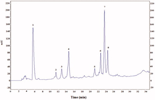 Figure 1. HPLC profile of phenolic acids (λ = 280 nm) from cactus (Opuntia ficus-indica) cladodes (CCE). Six known phenolic acids identified in CCE: gallic acid (1), catechin (4), caffeic acid (5), epicatechin (6), vanillic acid (7) and coumarin (8). The HPLC separation of the active compounds was carried out on C-18 reverse phase HPLC column (Zorbax, 250 mm ×4.6 mm, particle size 5 μm) on an elution gradient at 25 °C. The mobile phase consisted of water:acetic acid (98:2 v/v) (A) and water:acetonitrile:acetic acid (58:40:2 v/v/v) (B). The elution gradient used was: 0–80% B for 25 min, 80–100% B for 10 min and 100–0% B for 5 min. The flow rate was 0.9 mL/min and the injection volume was 20 μL.