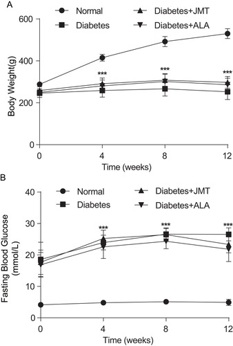 Figure 1 Effects of JMT on body weight and fasting blood glucose in diabetic rats at 12 weeks.