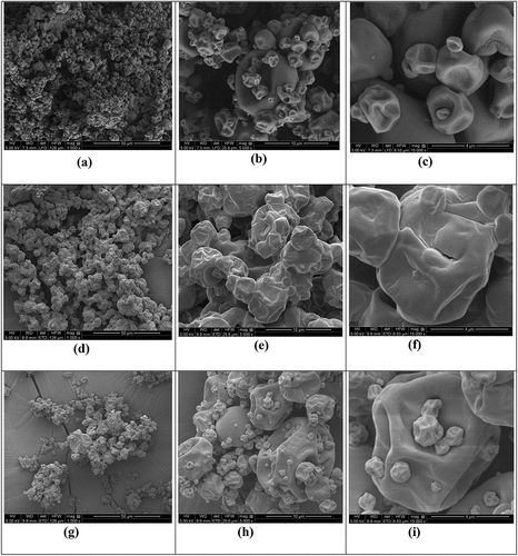 Figure 6. Scanning electron images of spray-dried soy meal powder at magnification (a) 1000x (b) 5000x (c) 15000 x with drying aids gum Arabic (GA) (d, e and f) and (g, h, i) maltodextrin (MD).
