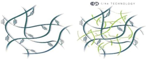 Figure 1 Schematic demonstrating the network with simple crosslinking (left) and interpenetrated crosslinking (right).