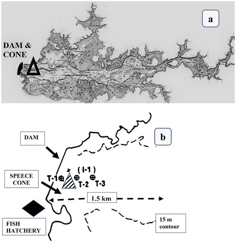 Figure 2. (a) Map of the 12 km long reservoir showing shallow water (<15 m, dark gray) and the deeper parts and thalweg (light gray). Oxygenation is confined to the deeper area. The approximate location of the Speece cone and dam are shown in heavy black. (b) Map of area of cone and dam in Camanche Reservoir showing turbidity stations T-1 to T-3 (circles with X) used for local effects of the plume. The Speece cone (hatched) was located between T-1 and T-2. The hatchery (diamond) is just below the dam.