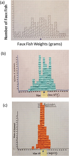 Figure 1. Visualizing sampling distributions using analog simulations: (a) histogram of weights of all Faux Fish in a pond; (b) sampling distribution of the mean of samples of size n = 3; (c) sampling distribution of the mean of samples of size n = 10. The arrows correspond to the true mean from (a). Photos by E. A. Steel.