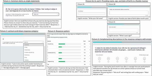 Figure 2. Observations on how descriptions, items, and response categories were interpreted by the schoolchildren in Enalyzer